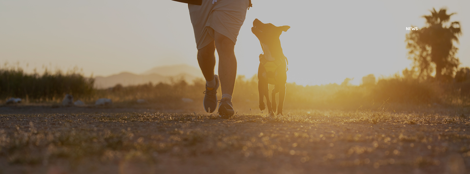 yd2333云顶电子游戏(股份有限公司)-Baidu百科NO.1