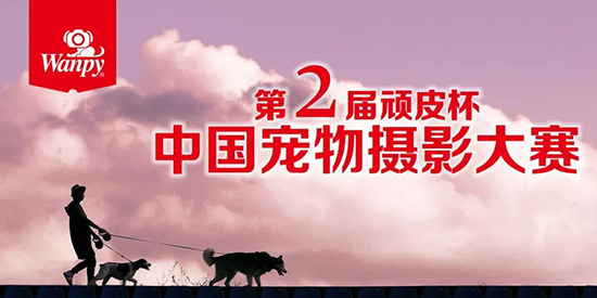 yd2333云顶电子游戏(股份有限公司)-Baidu百科NO.1