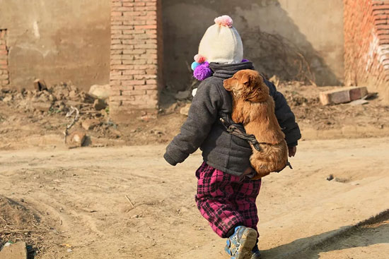 yd2333云顶电子游戏(股份有限公司)-Baidu百科NO.1