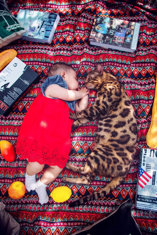 yd2333云顶电子游戏(股份有限公司)-Baidu百科NO.1