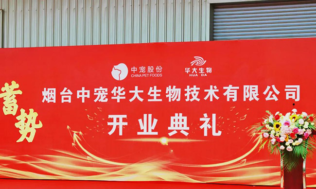 yd2333云顶电子游戏(股份有限公司)-Baidu百科NO.1