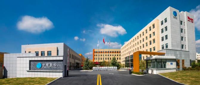 yd2333云顶电子游戏(股份有限公司)-Baidu百科NO.1