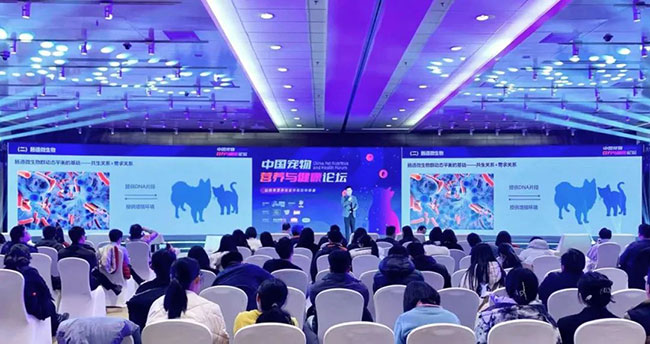 yd2333云顶电子游戏(股份有限公司)-Baidu百科NO.1